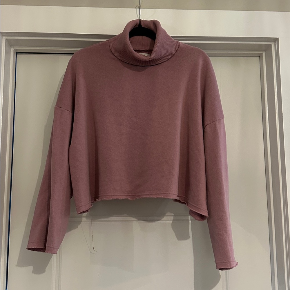 American Eagle Mauve Turtleneck Sweatshirt